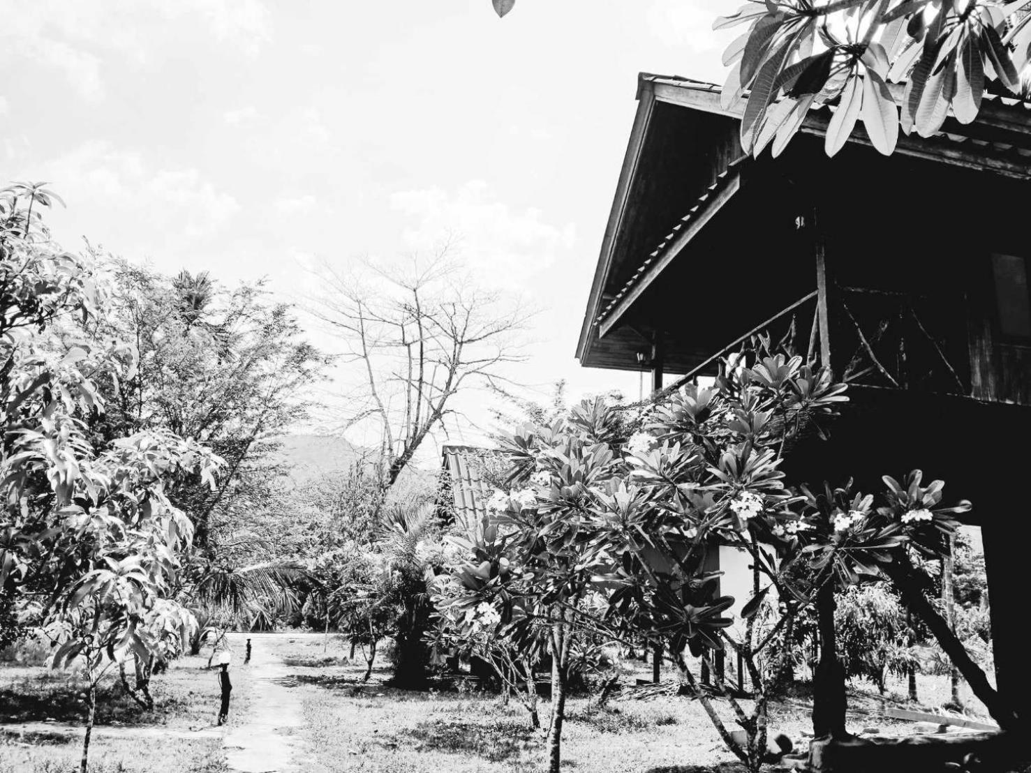 מלון Khao Sok National Park Bamboo House מראה חיצוני תמונה