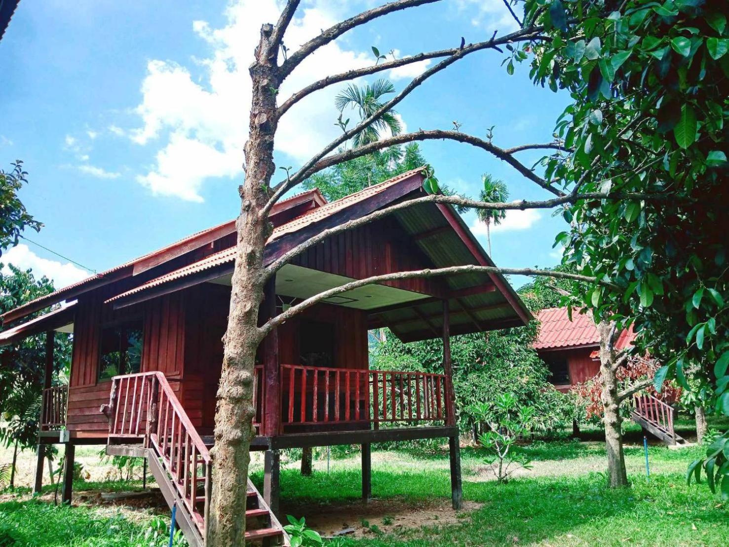 מלון Khao Sok National Park Bamboo House חדר תמונה
