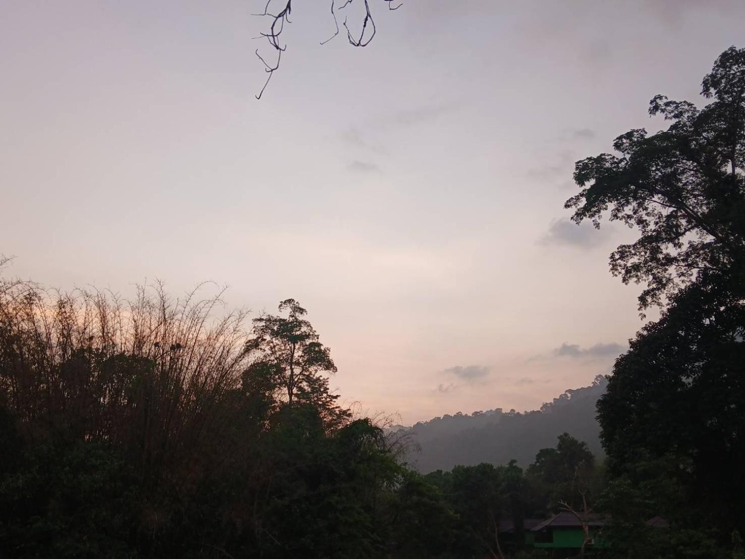 מלון Khao Sok National Park Bamboo House מראה חיצוני תמונה