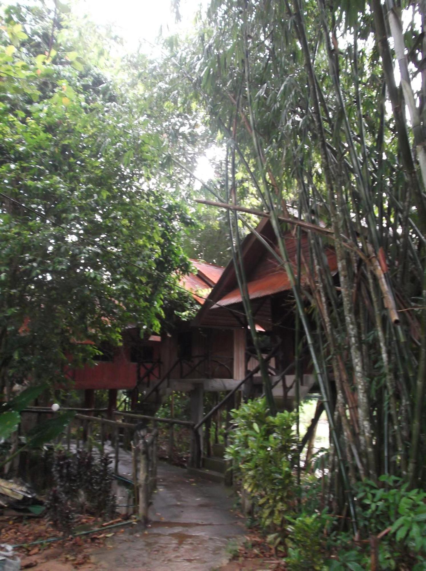מלון Khao Sok National Park Bamboo House מראה חיצוני תמונה