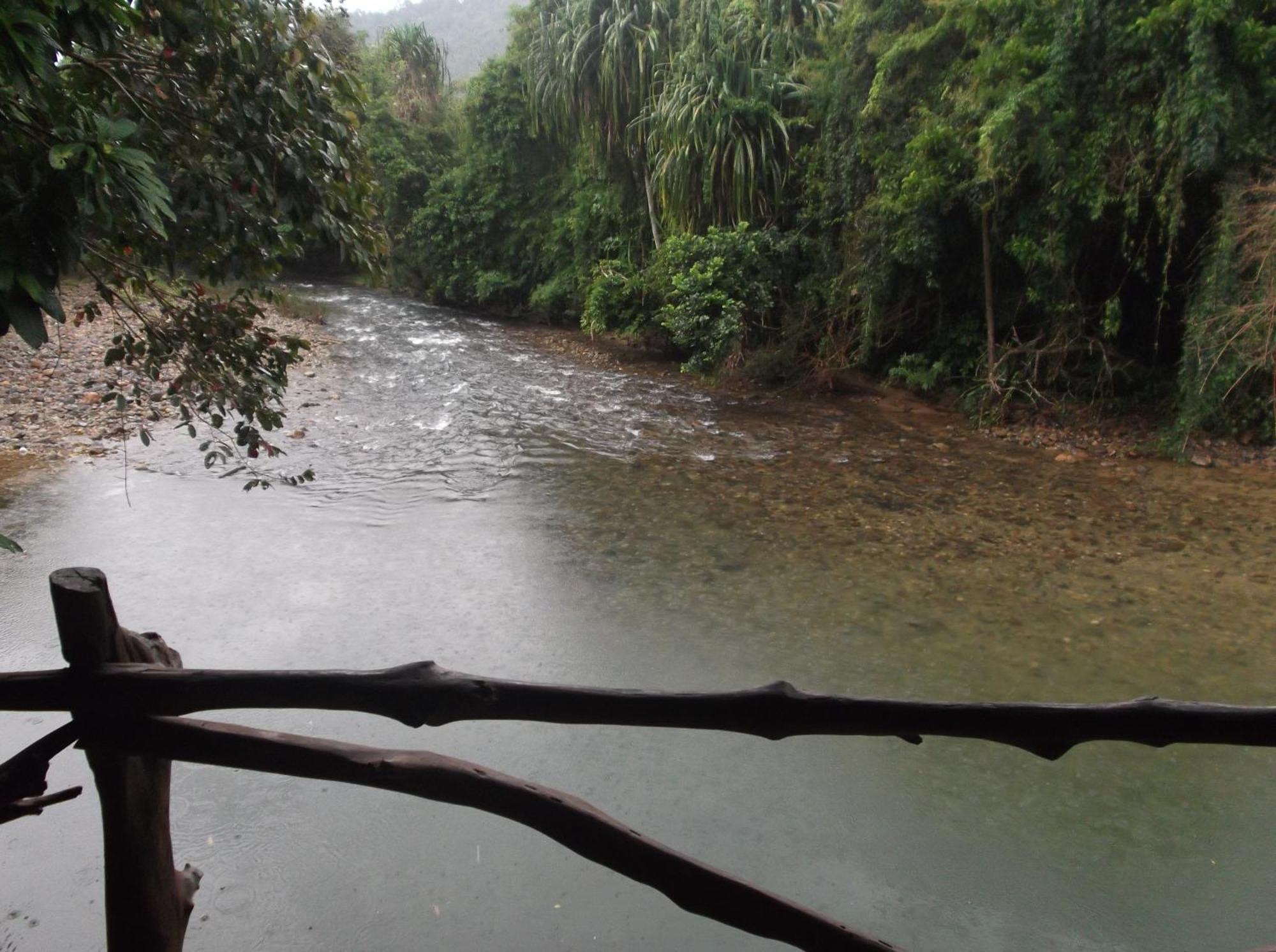 מלון Khao Sok National Park Bamboo House מראה חיצוני תמונה