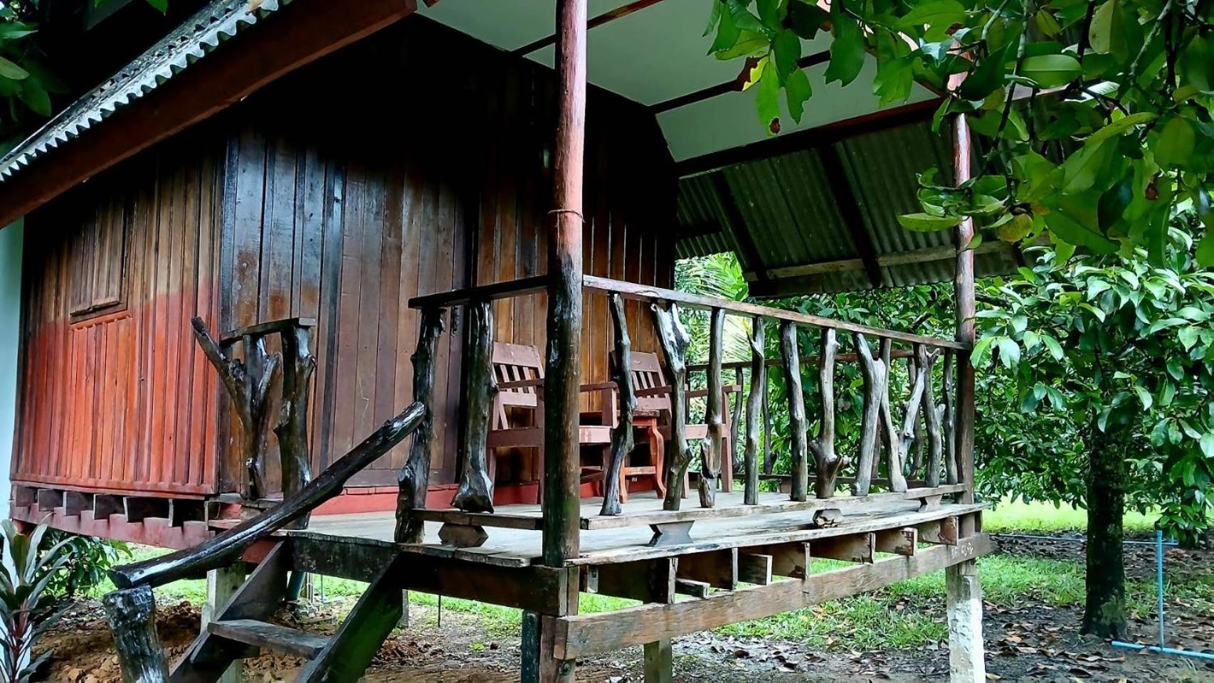 מלון Khao Sok National Park Bamboo House מראה חיצוני תמונה