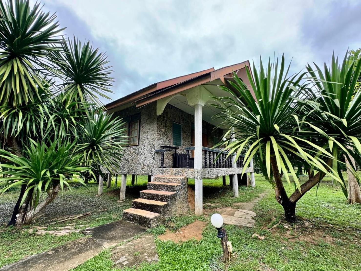 מלון Khao Sok National Park Bamboo House מראה חיצוני תמונה