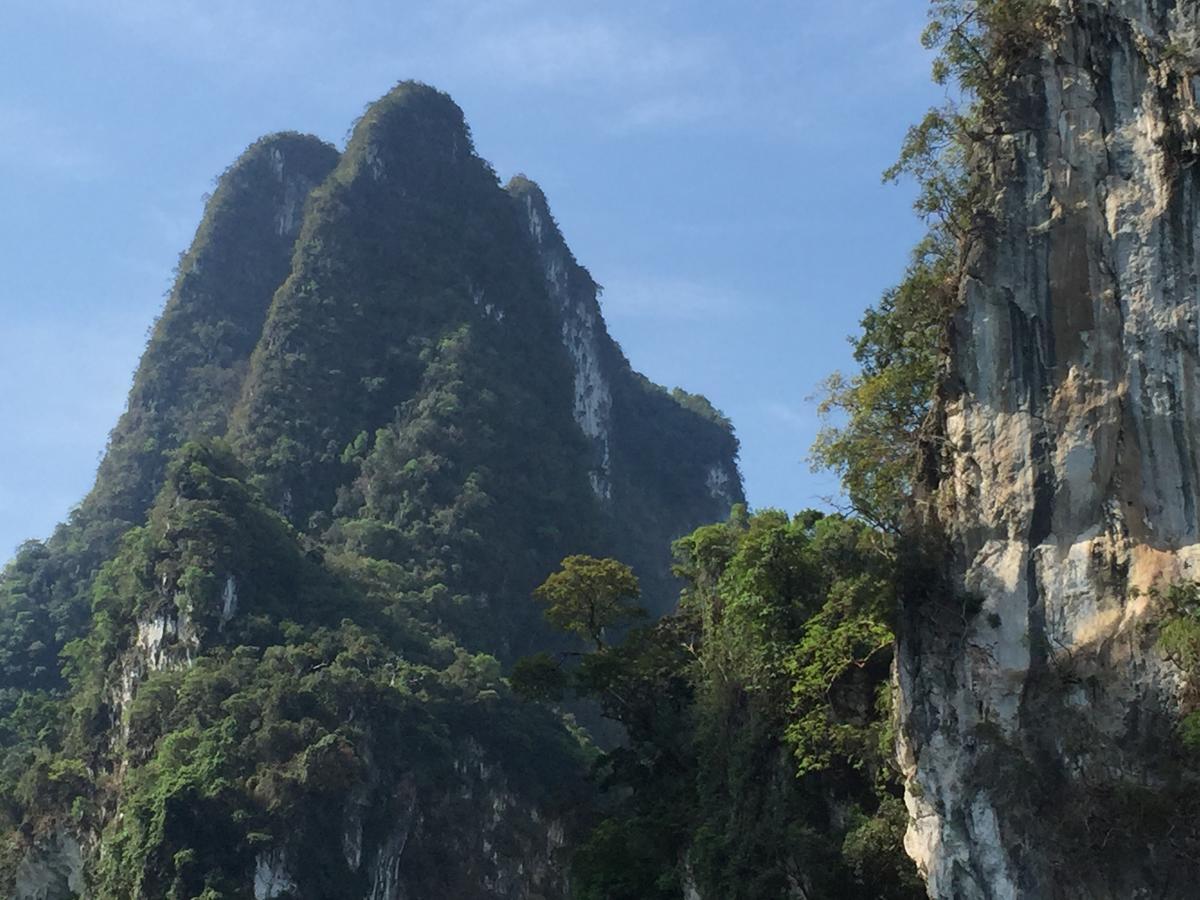 מלון Khao Sok National Park Bamboo House מראה חיצוני תמונה
